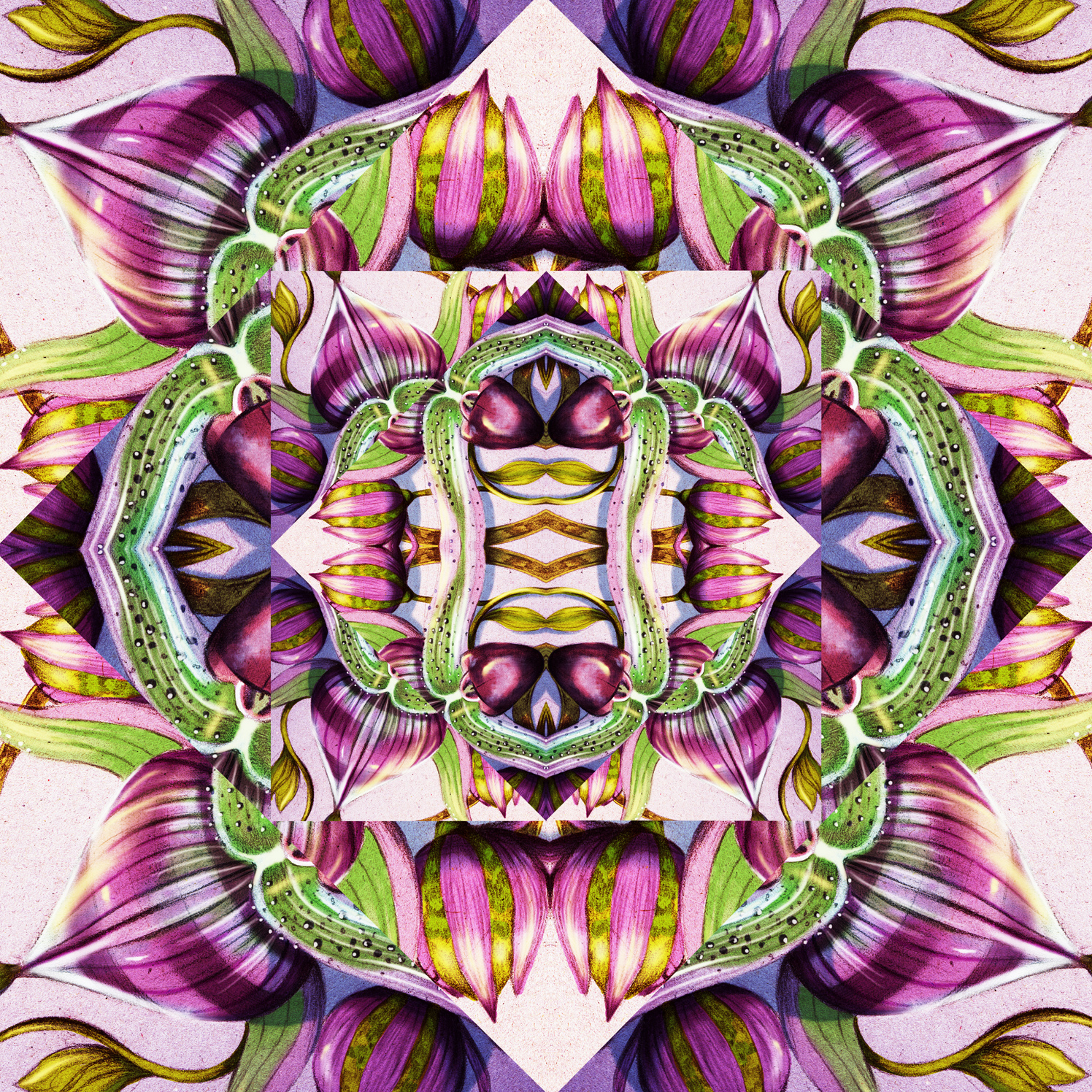 Kaleidescope