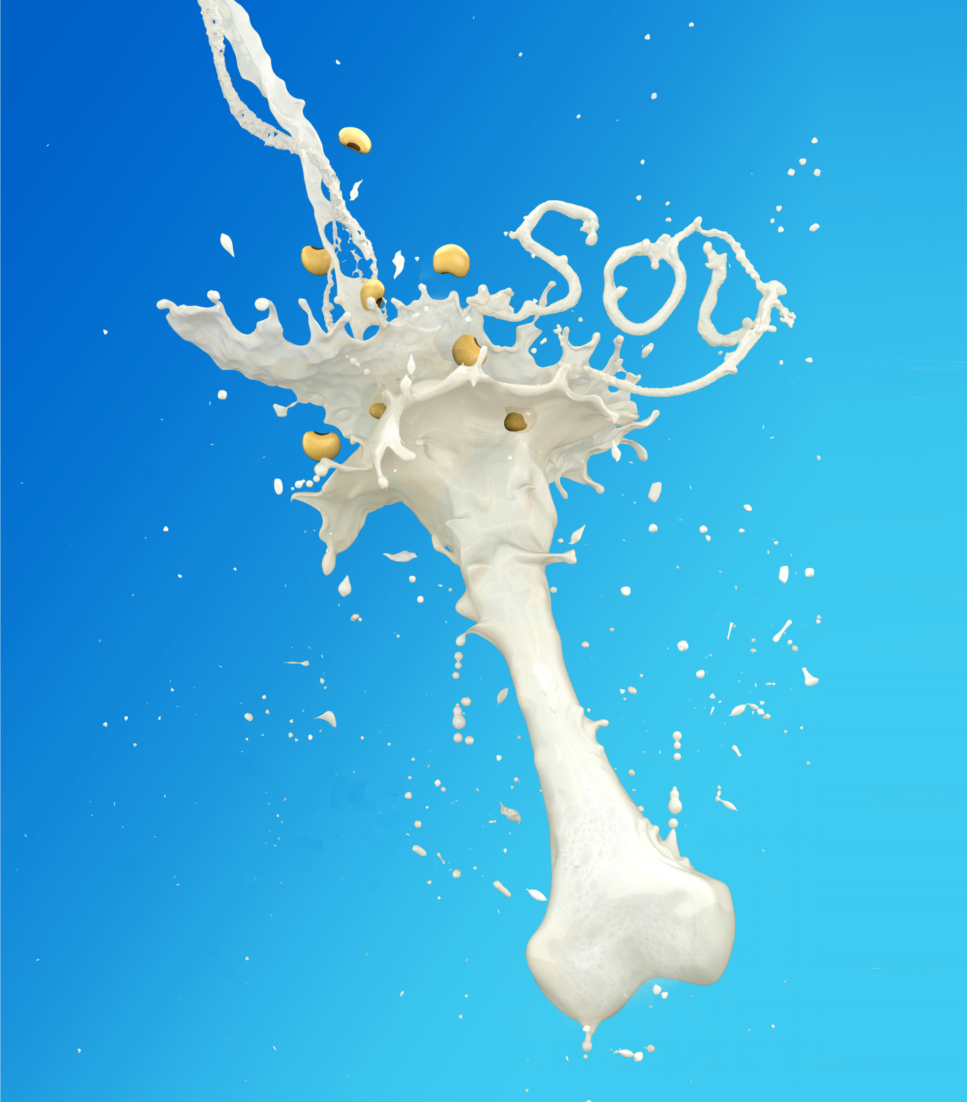 37.Soy bones - WH.jpg