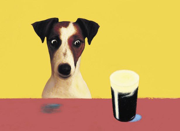 Something for the Weekend Book Cover Pauline McLynn