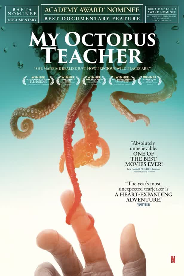 My Octopus Teacher / Netflix