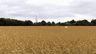Fields