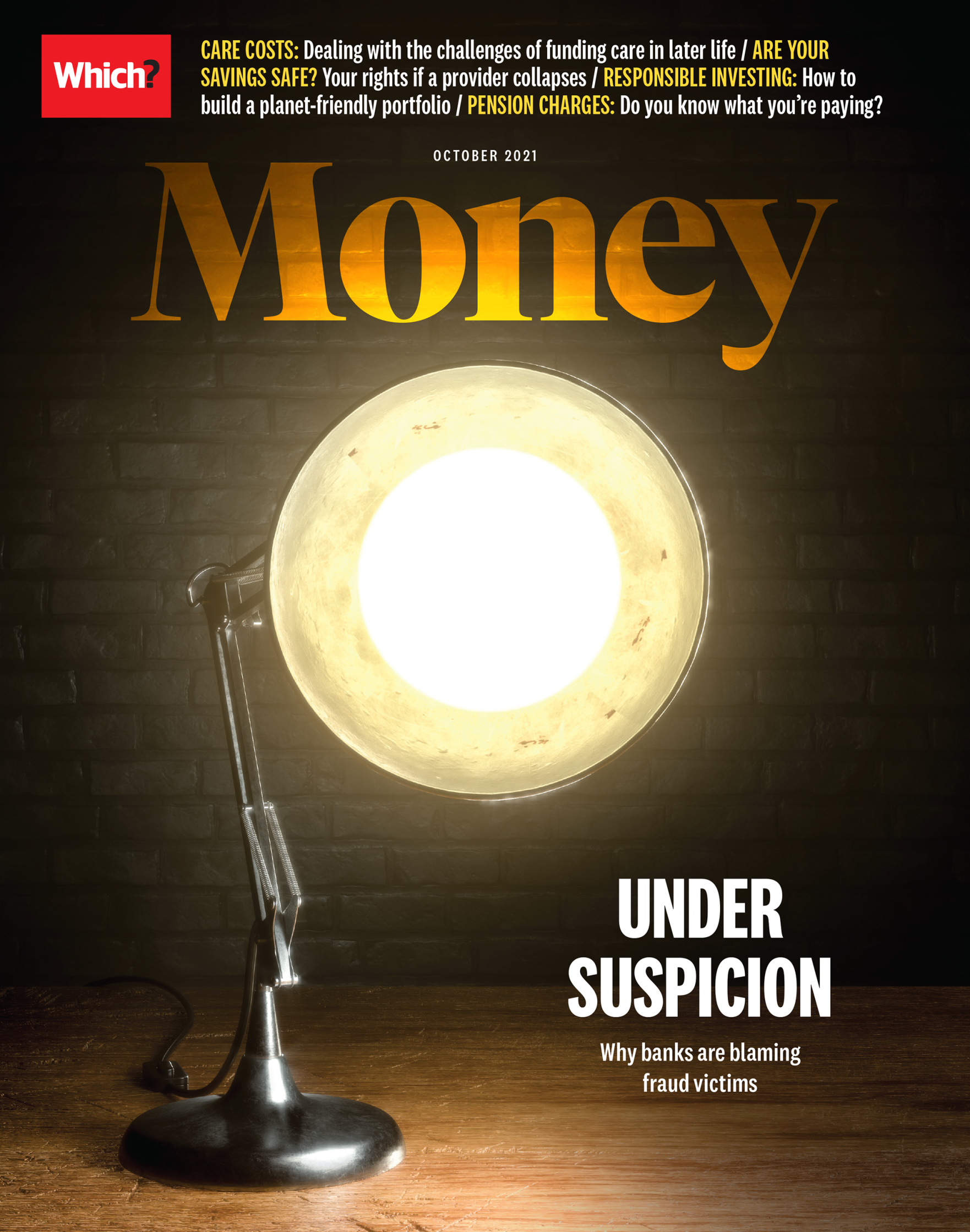 Which lamp cover - October.jpg