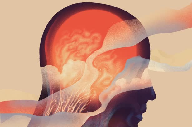 Climate & Neuroscience / The Transmitter