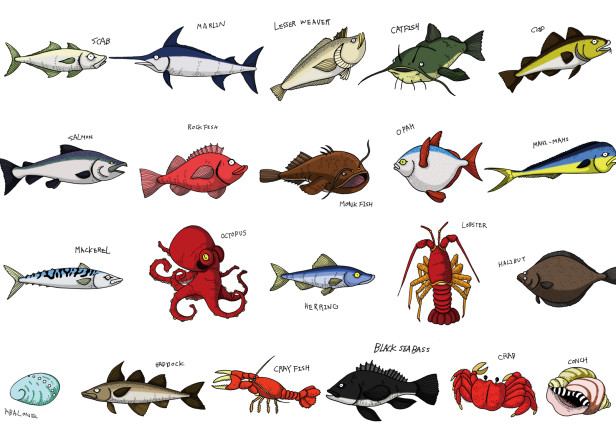 Fish Chart