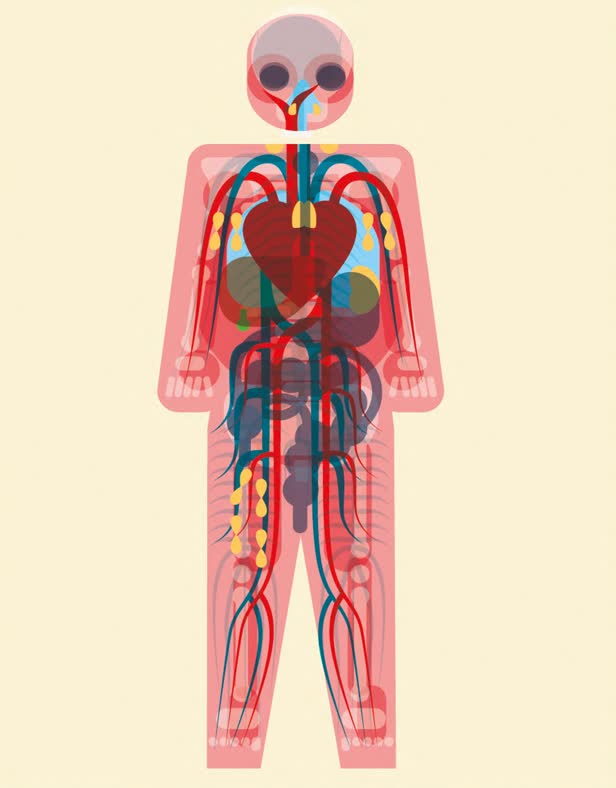 Body Book