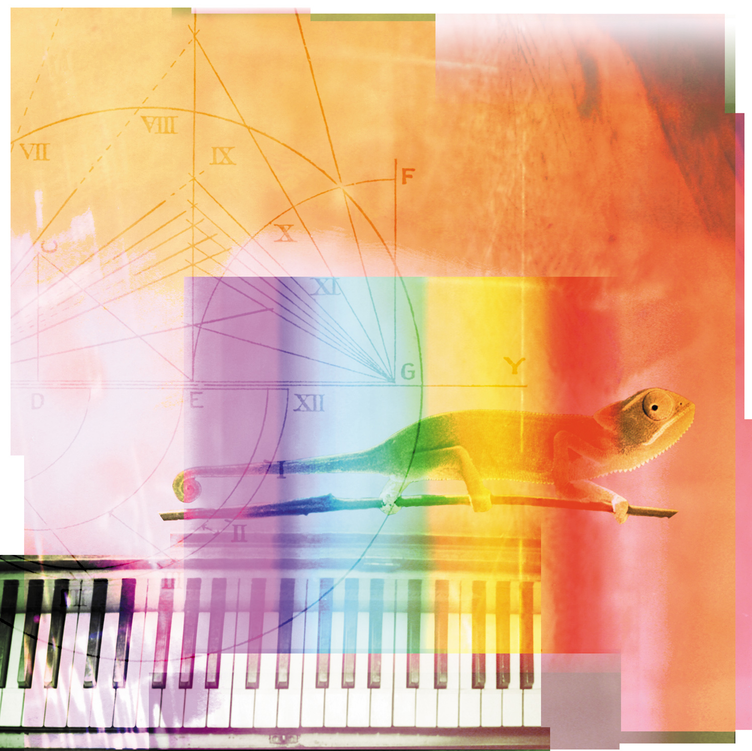 Adopting to Opportunities Chameleon Vision / Randstad Recruitment