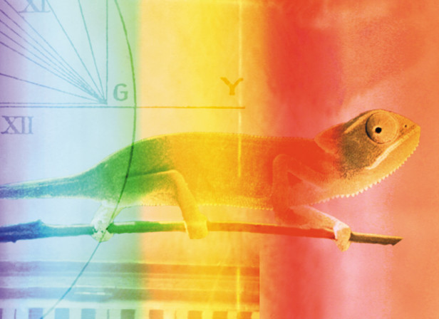 Adopting to Opportunities Chameleon Vision / Randstad Recruitment