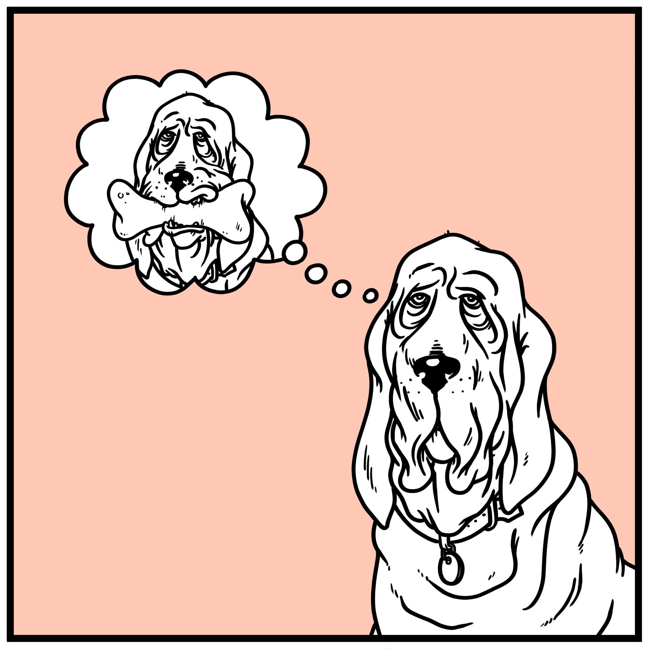 Personal_Dog.jpg