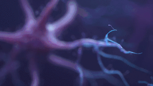 Neuron / Life Science Dynamics