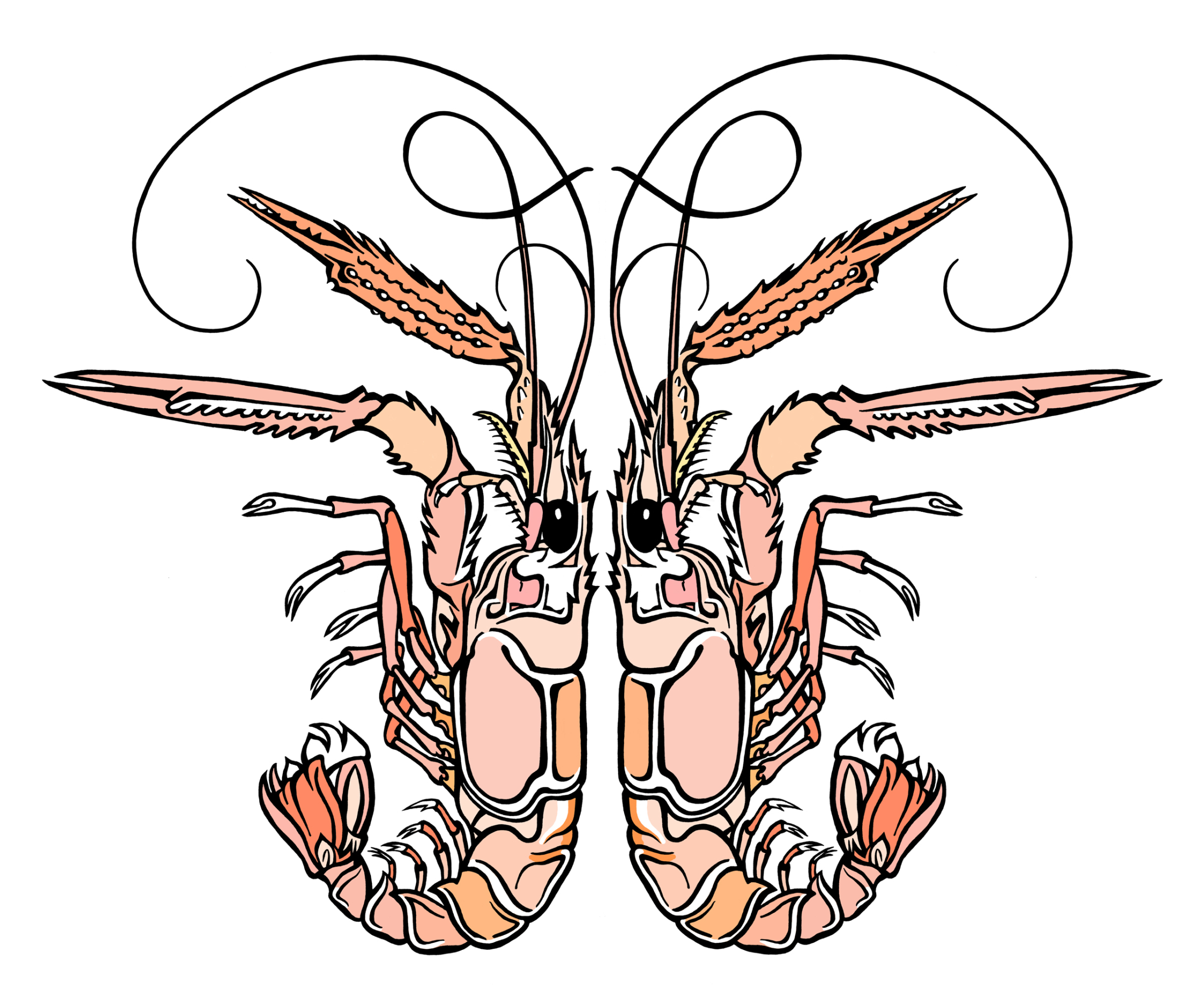 Langoustines.jpg