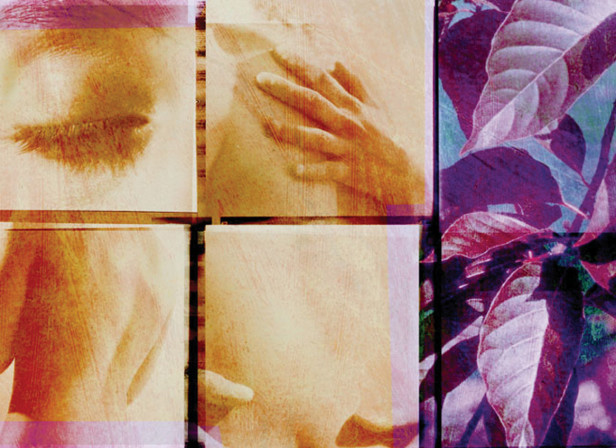 Wellbeing Skin Caress Touch Nature