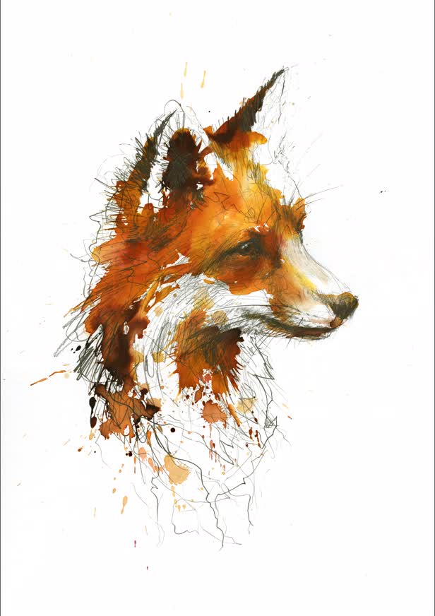The Solitary Fox  - Self Project.jpg