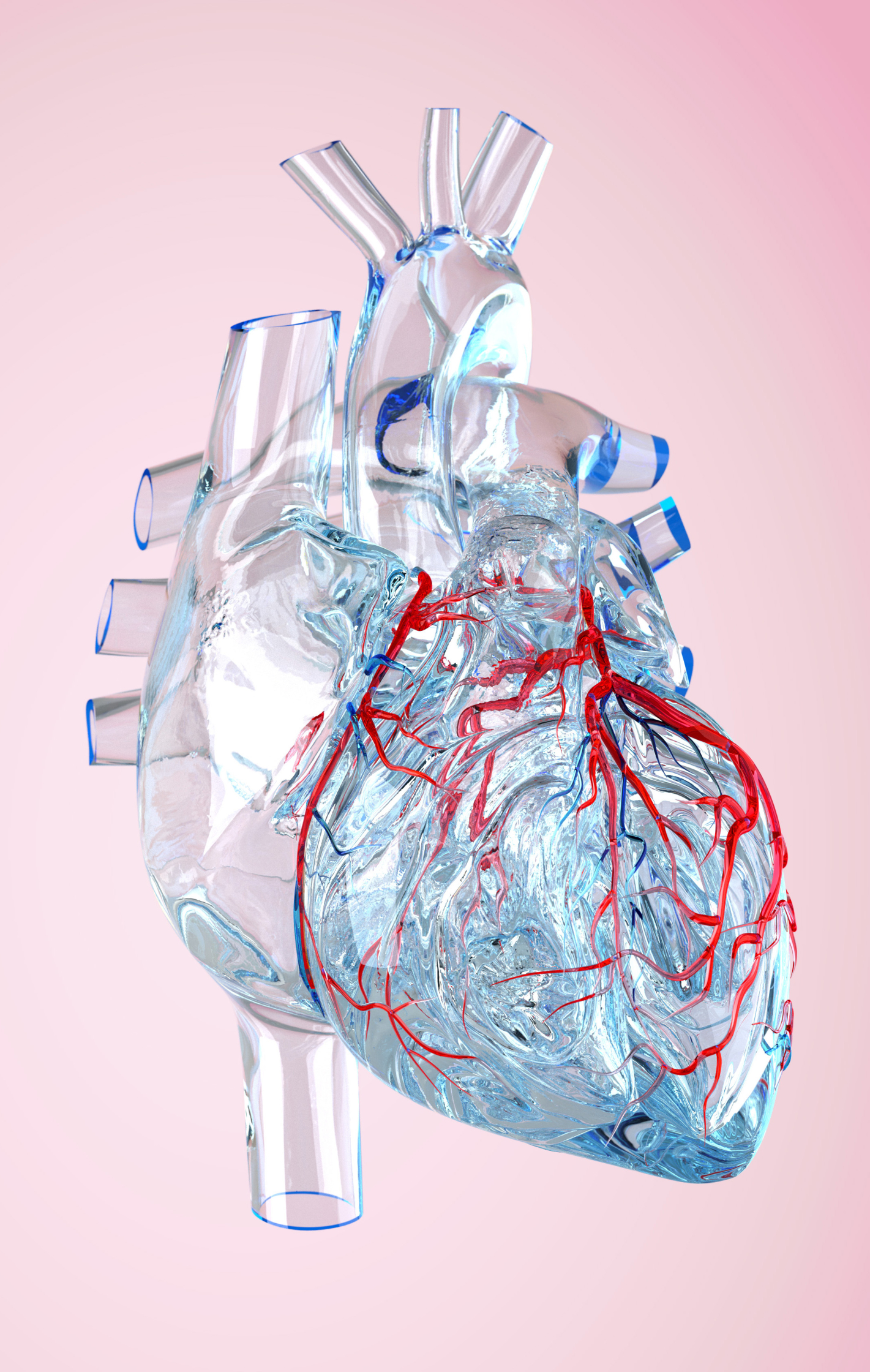 Heart1.jpg