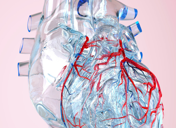 Heart1.jpg