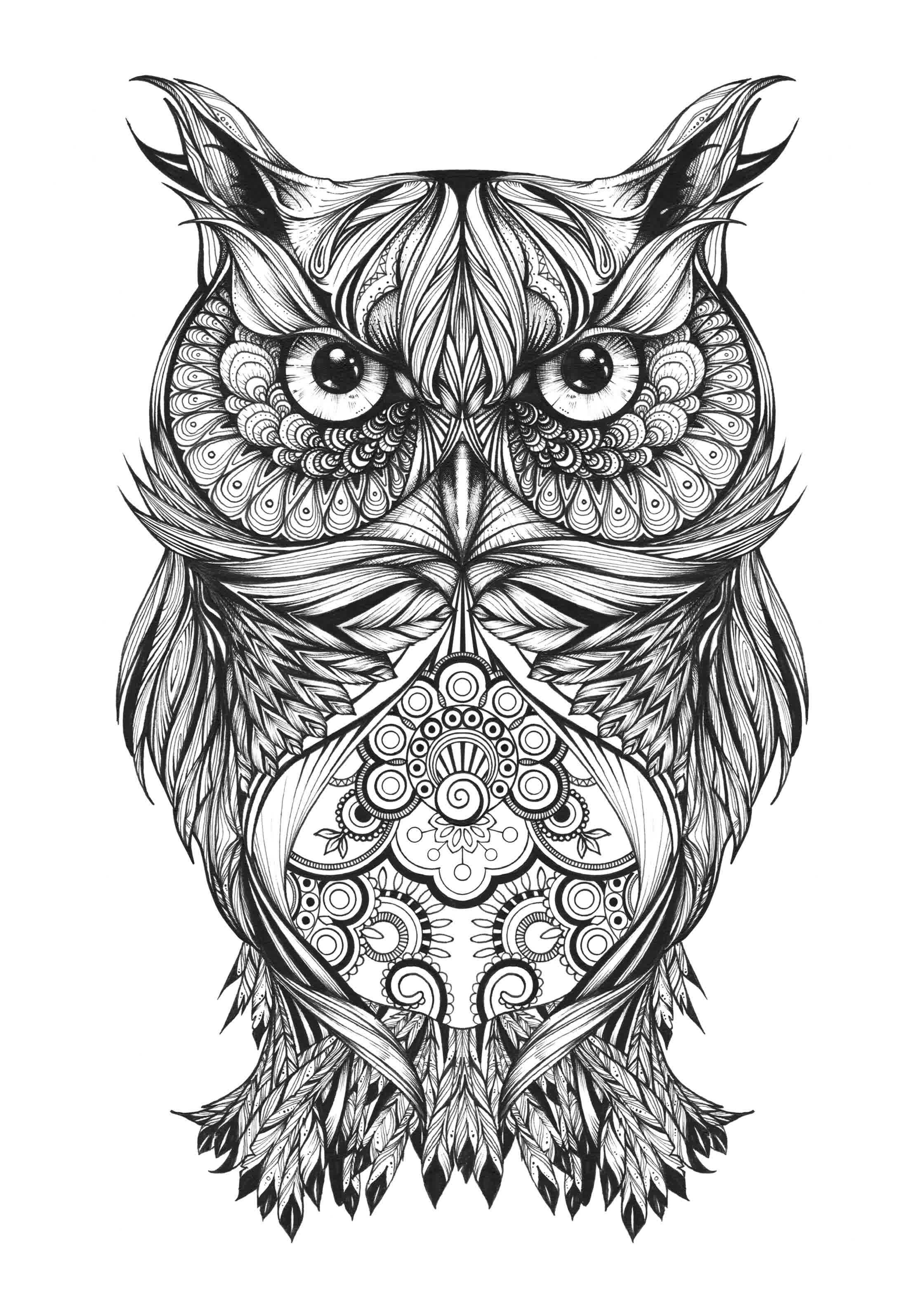 Gregory The Owl_Personal Project.jpg