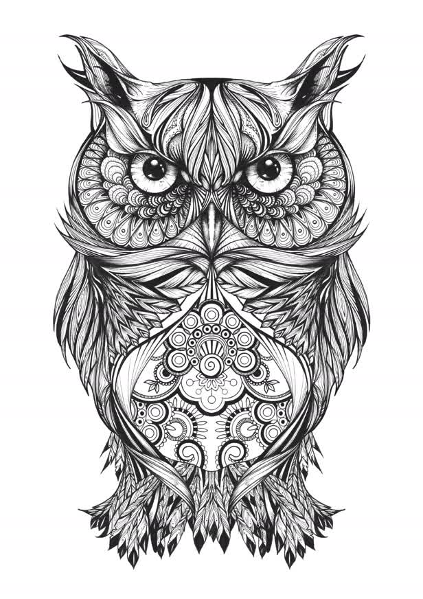 Gregory The Owl / Personal project