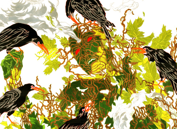 Roost.jpg
