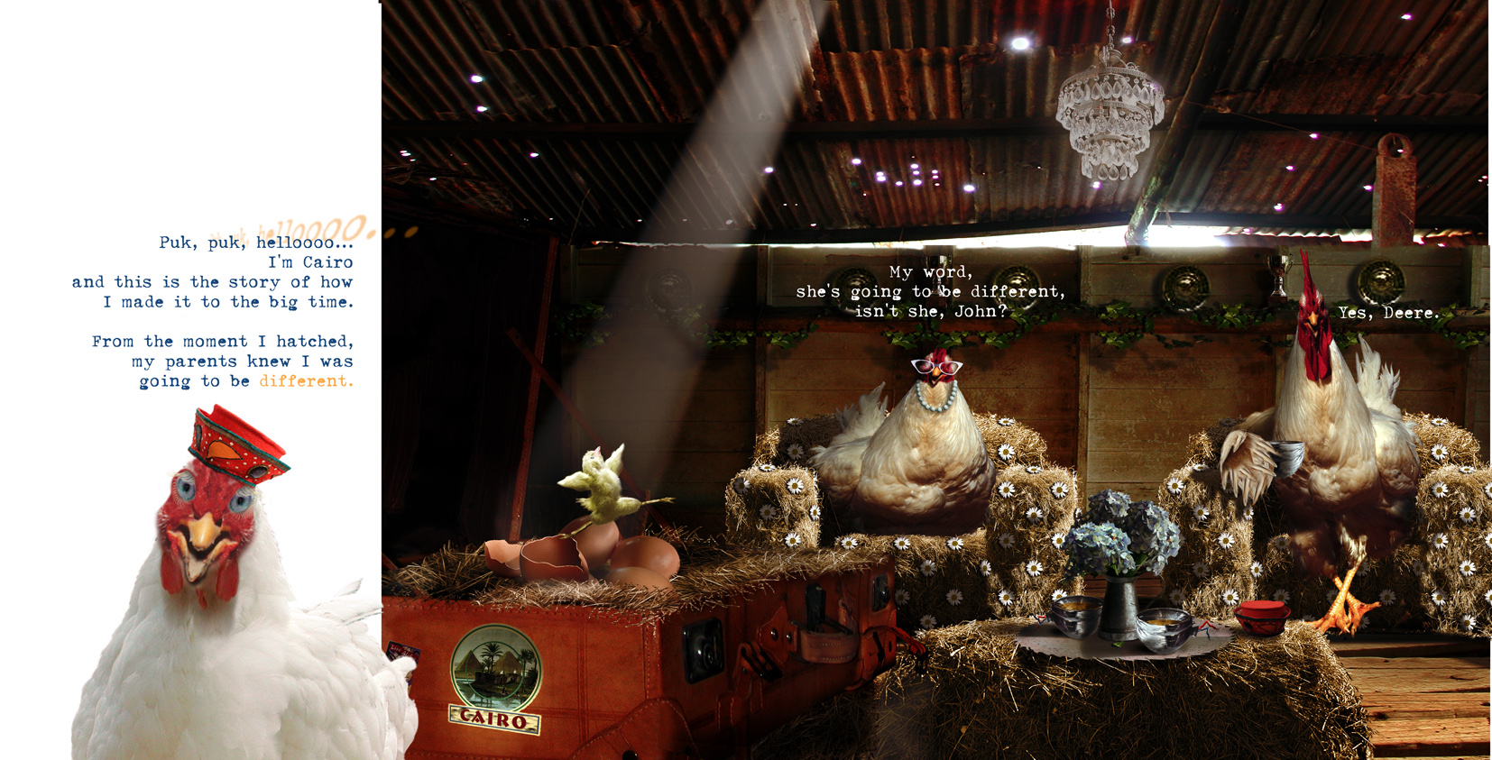 Carla Chicken Children's Book