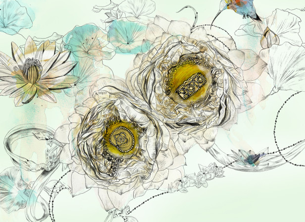 Hummingbirds