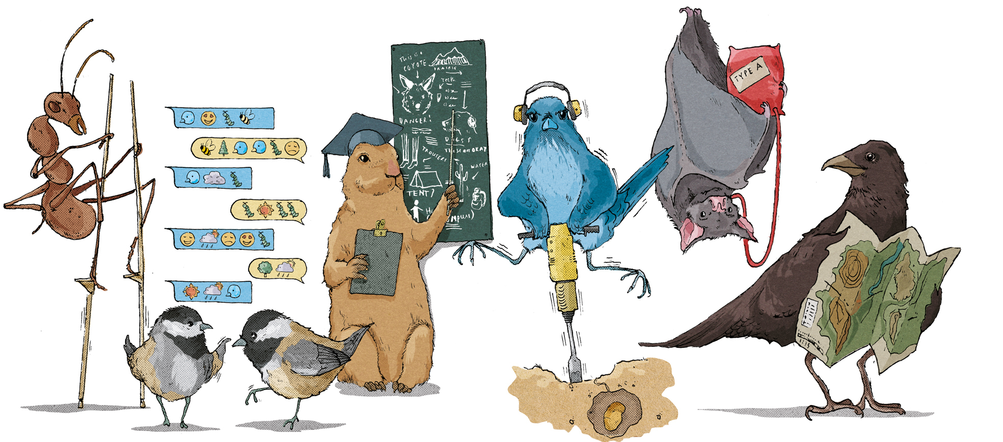 Smart Animals Spots_Answers mag.jpg