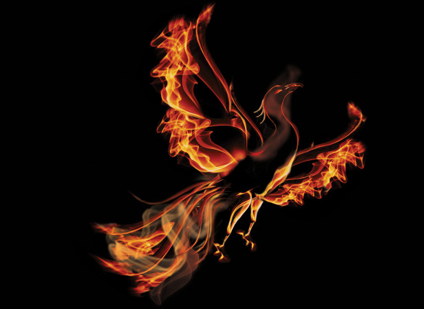 Phoenix