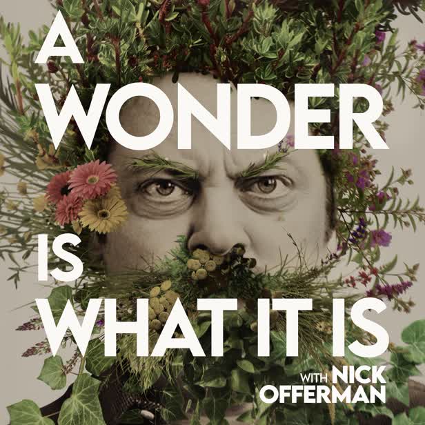 Wonder Is What It Is /  WNYW