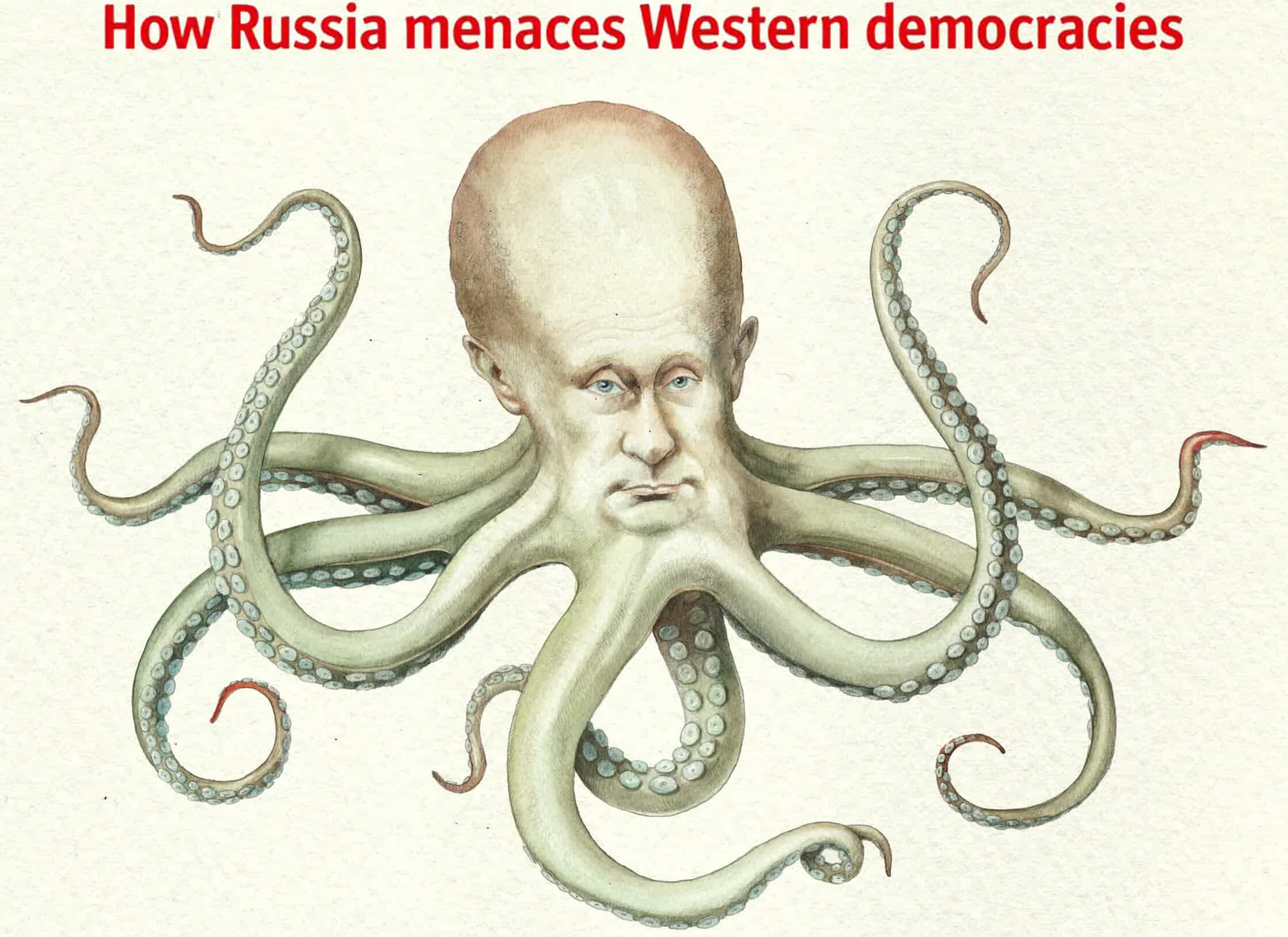 01739Octoputin.jpg