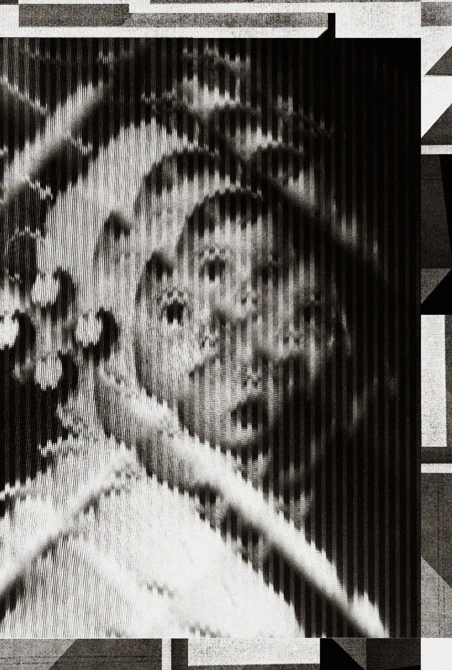 BNW_ILL03.jpg