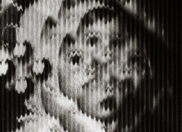 BNW_ILL03.jpg