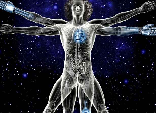 Vitruvian Man