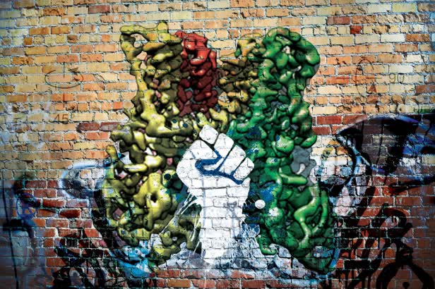 Revolutionary Imaging Graffiti Nature