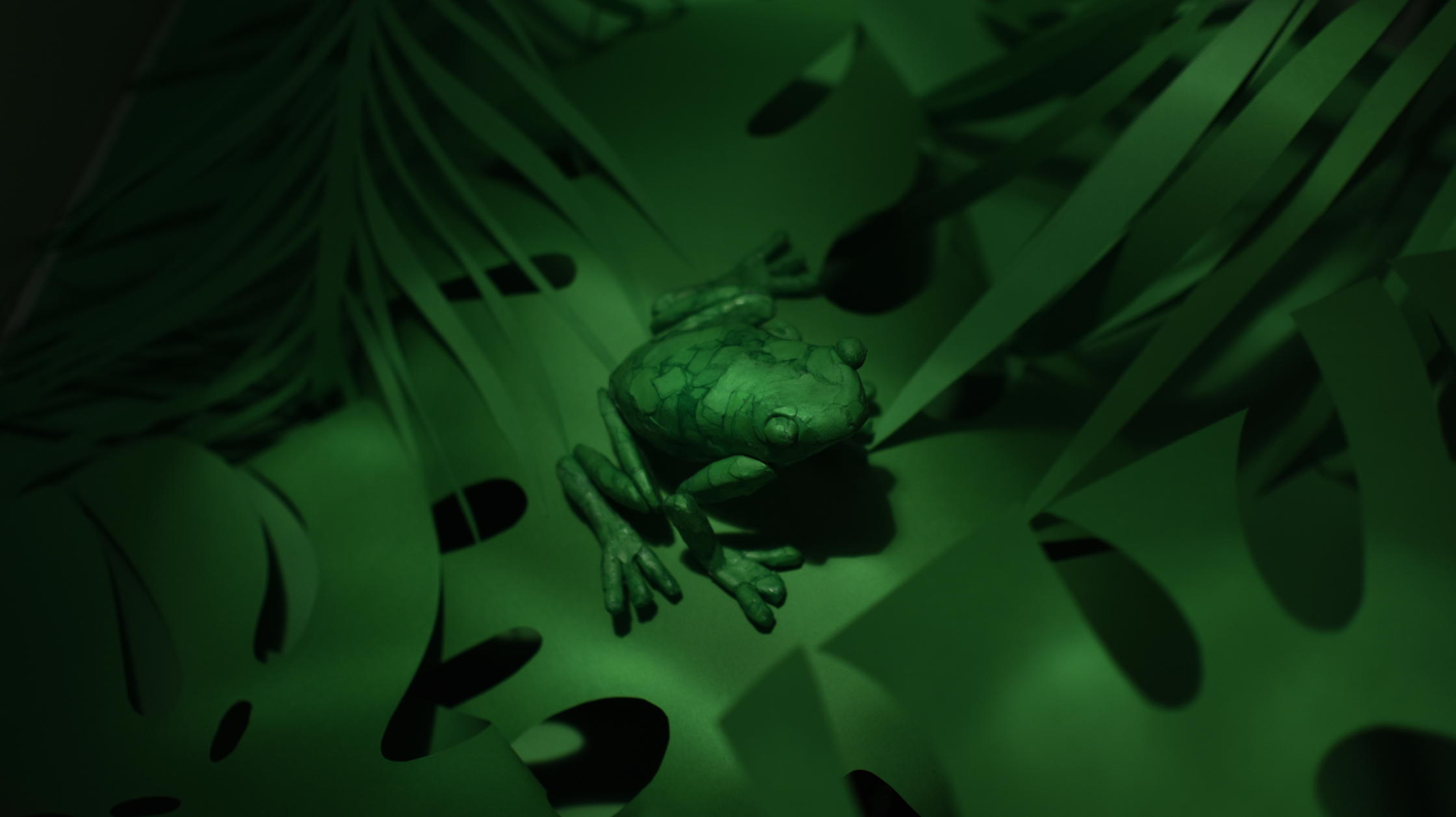PAPER FROG STILL.jpg
