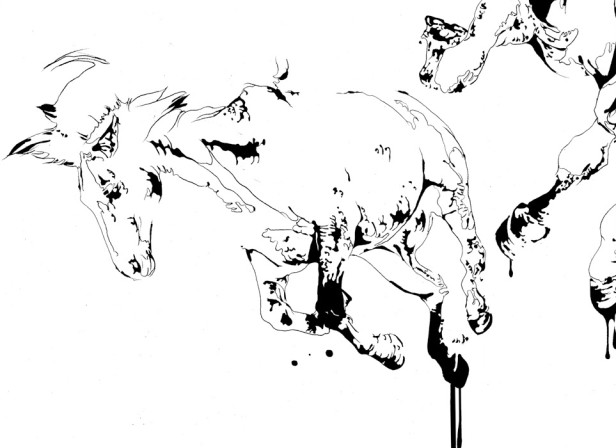 Jaguar Cars Wild Horses