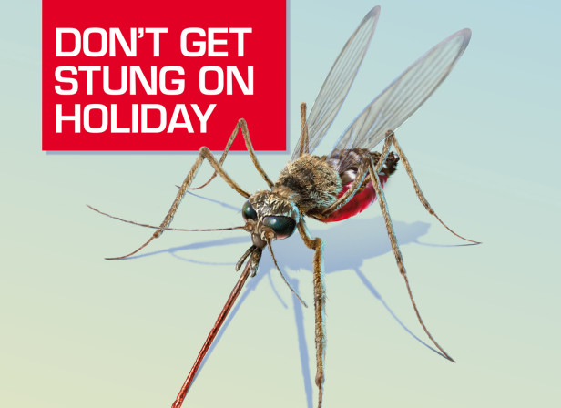 Travelex Mosquito