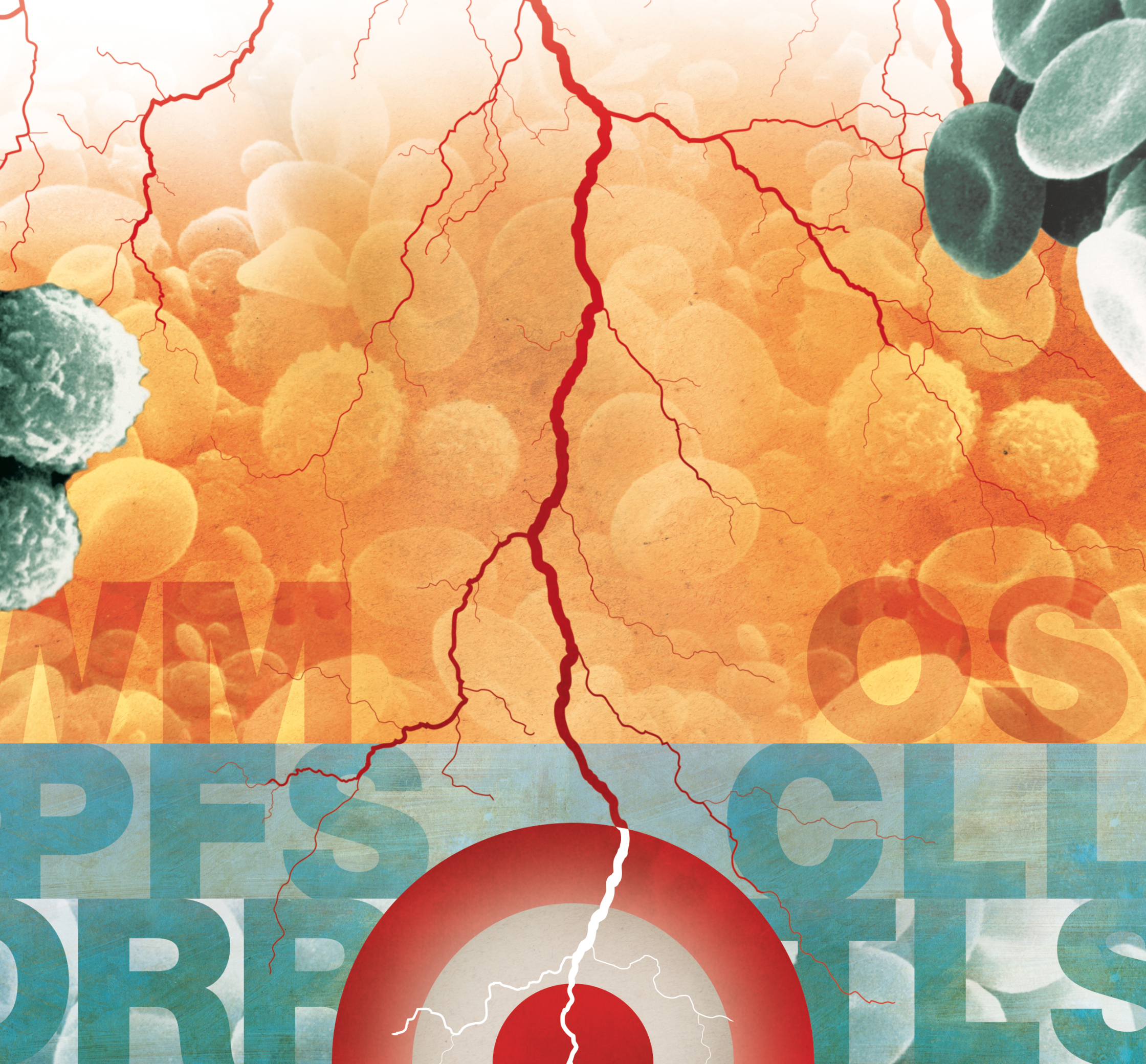 lancetoncology_BLOODCANCERS_3.jpg