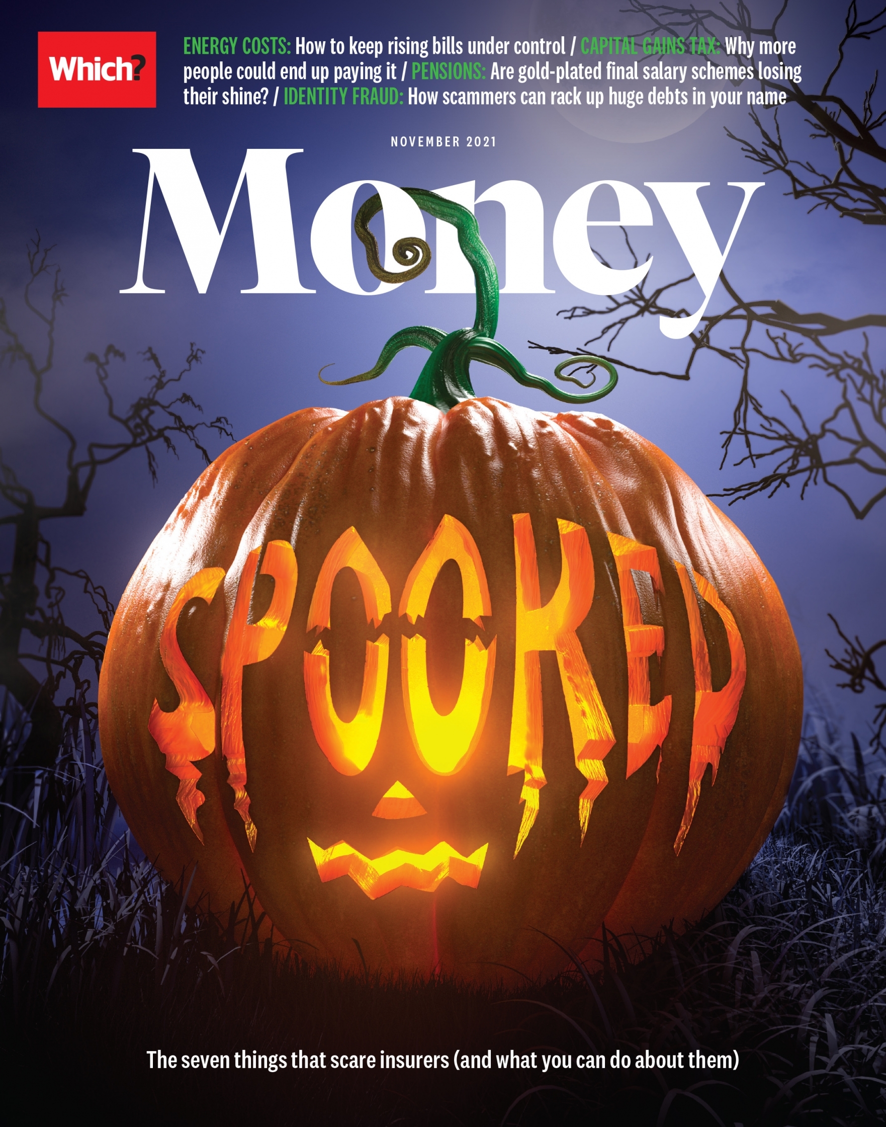 WM Nov Cover.jpg