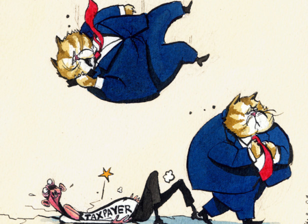 Fat Cats