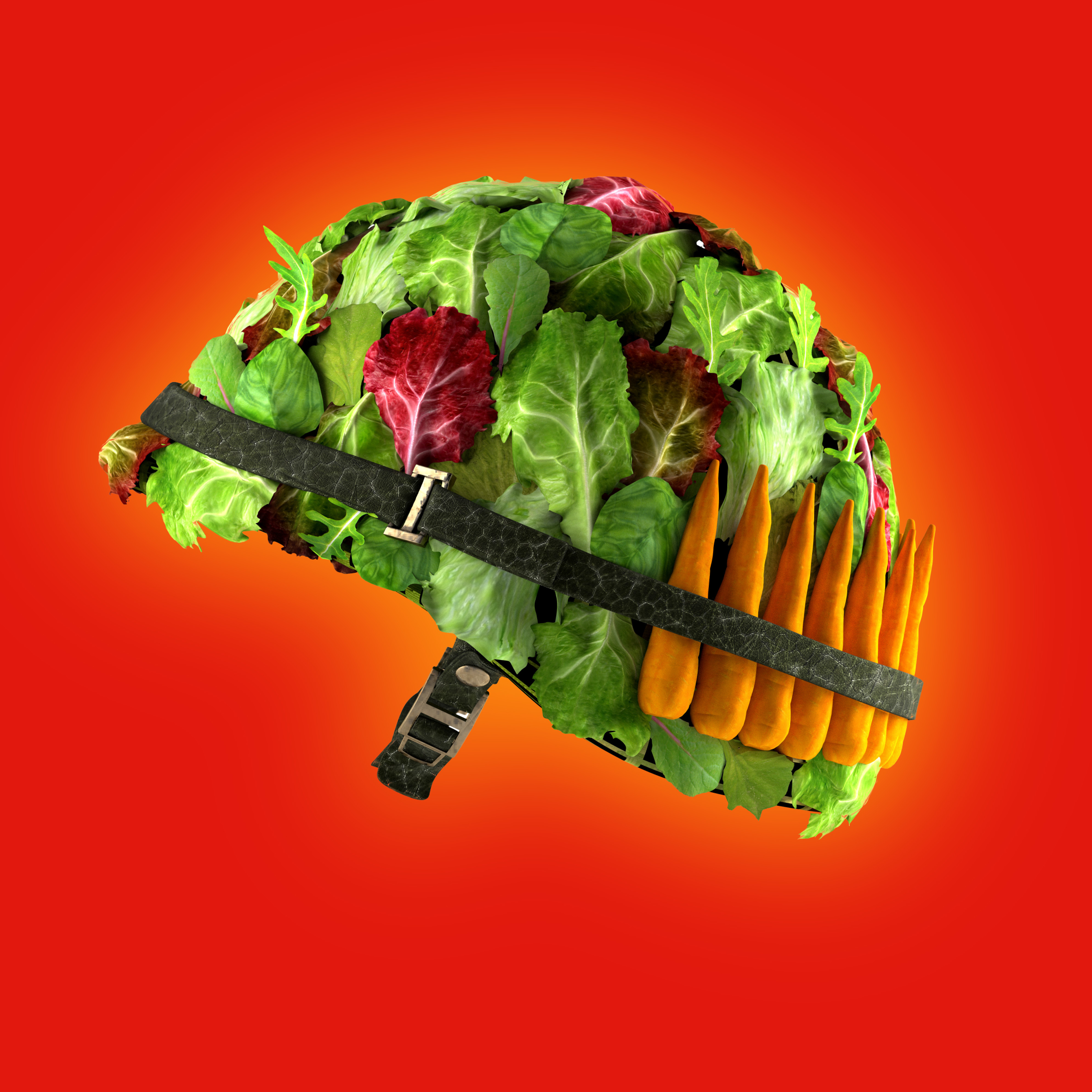 HELMETsalad.jpg