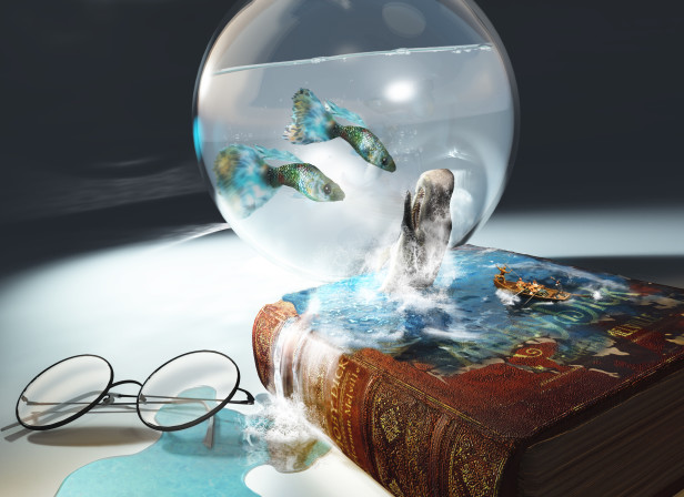 Whale Book