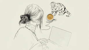 Cat / Union Coffee