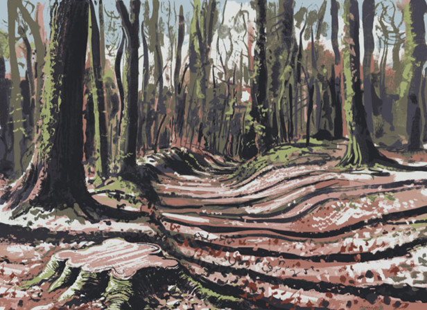 Woodland Walk
