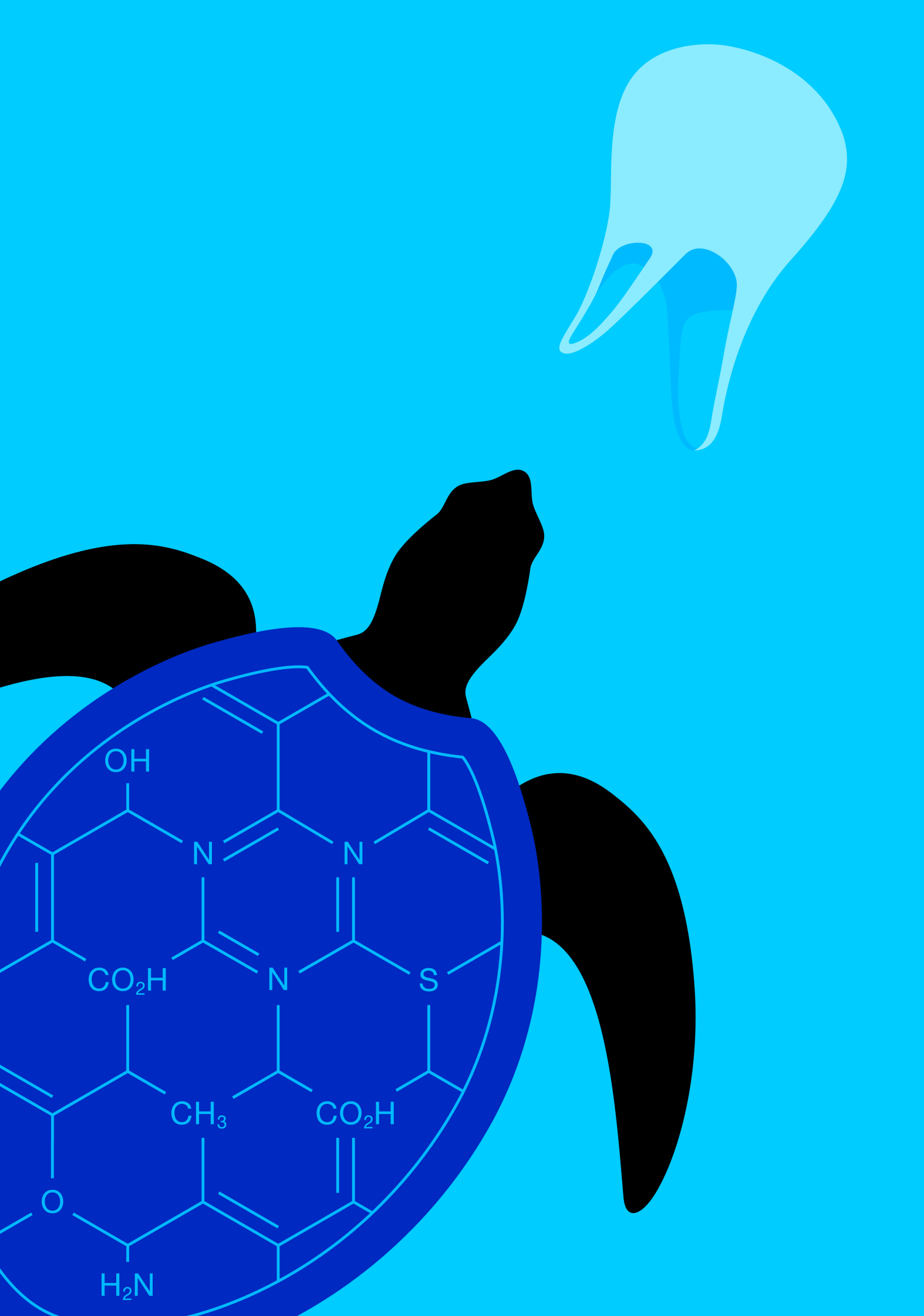 plastic-pollution.jpg