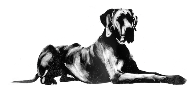FifeArms-dog-andylovell.png