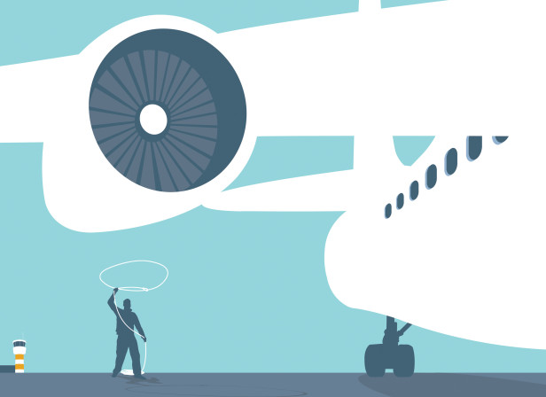 Airline Rights Consumer Guardian