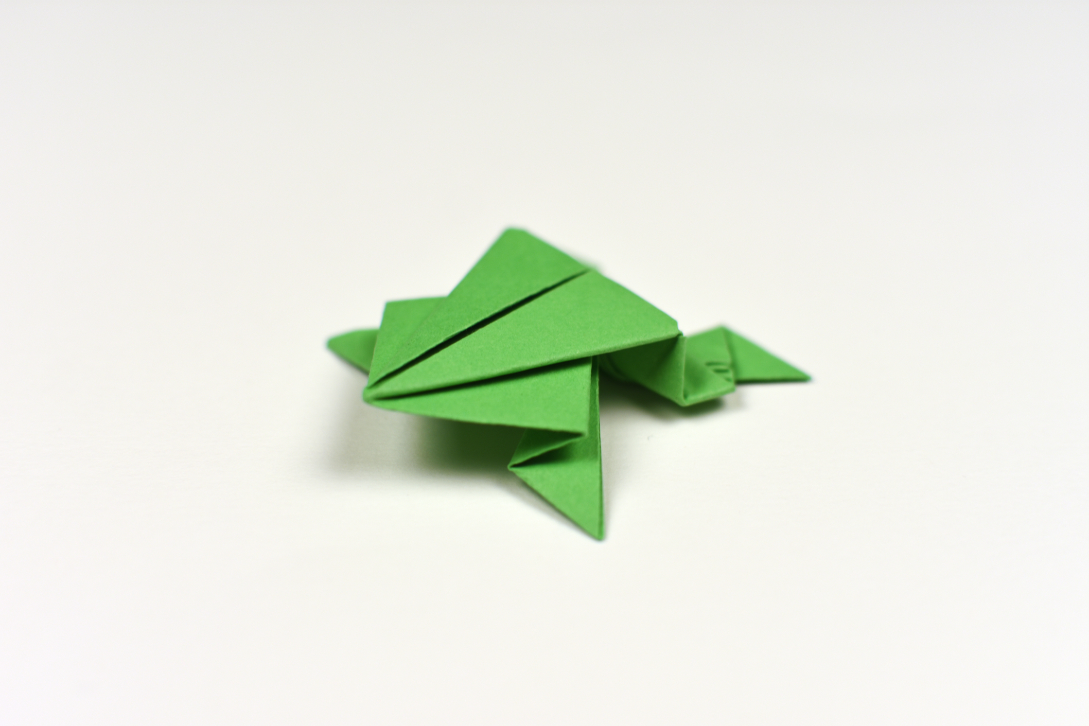 ORIGAMI FROG 1.jpg