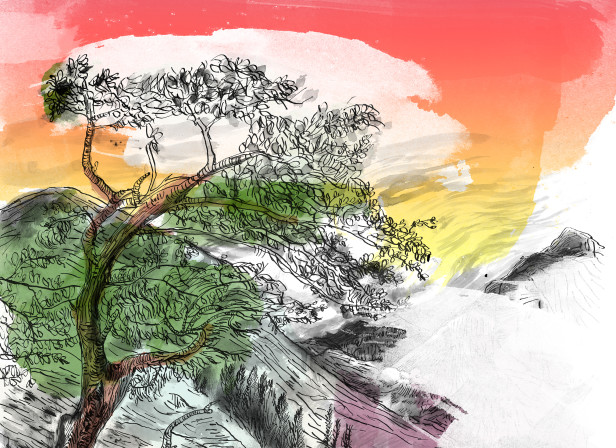 landscape3.jpg