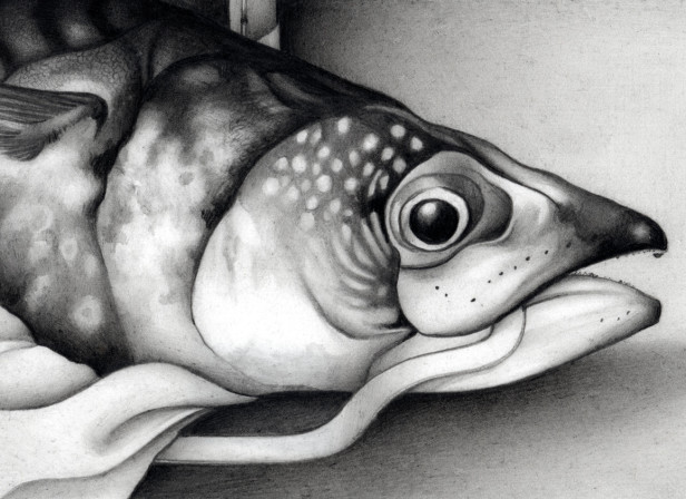 Proverb Mackeral And Suitcase