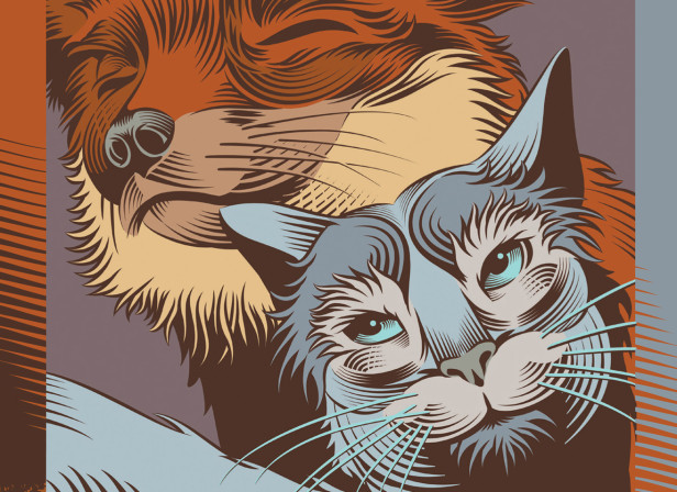 The Fox and The Cat / Grimm's Fairy Tales