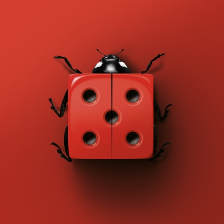 LADYBUG - PERSONAL.jpg