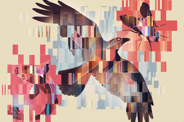Neuroscience & Evolutionary Perspective / Transmitter